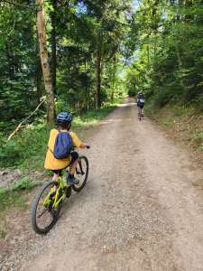 vignette de l'article Du 09/07 au 11/07: Stage VTT jeunes